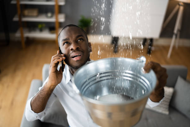 Best Mold removal after water damage  in Washington, NC