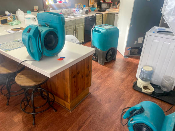 Best Carpet water damage restoration  in Washington, NC