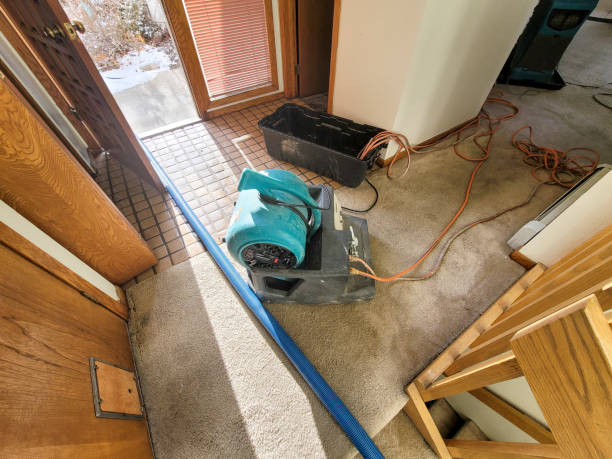 Washington, NC Water damage restoration Company