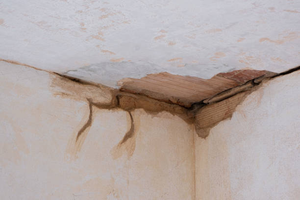 Best Fire Damage Restoration  in Washington, NC