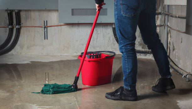 Best 24/7 water damage repair  in Washington, NC