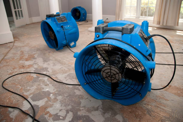 Best Sewage cleanup and water damage restoration  in Washington, NC