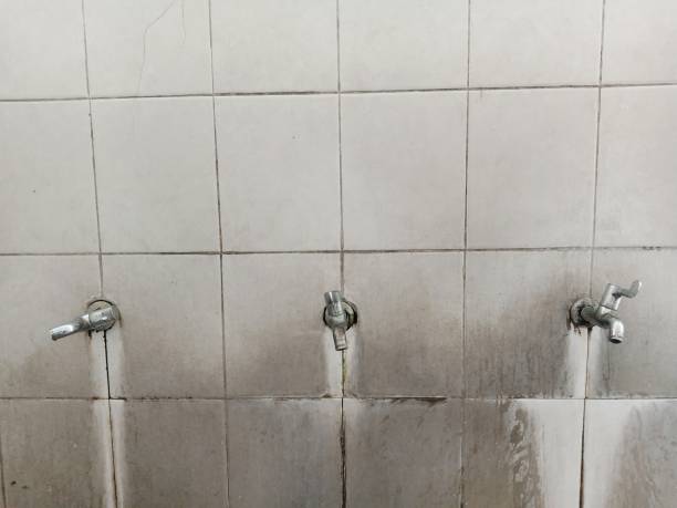 Best Residential water damage restoration  in Washington, NC