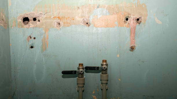 Reliable Washington, NC Water damage restoration Solutions