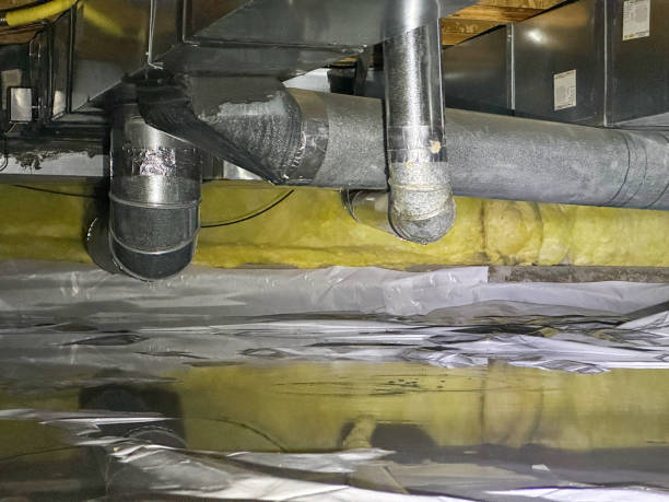 Best Basement water damage restoration  in Washington, NC