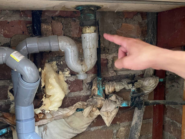 Best Flooded house restoration  in Washington, NC