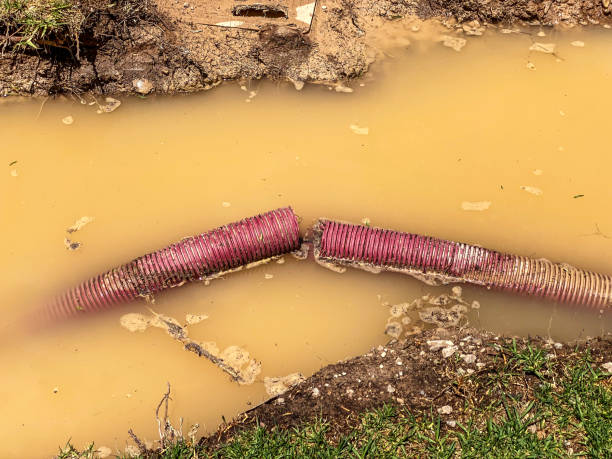 Best Water damage restoration insurance claims  in Washington, NC