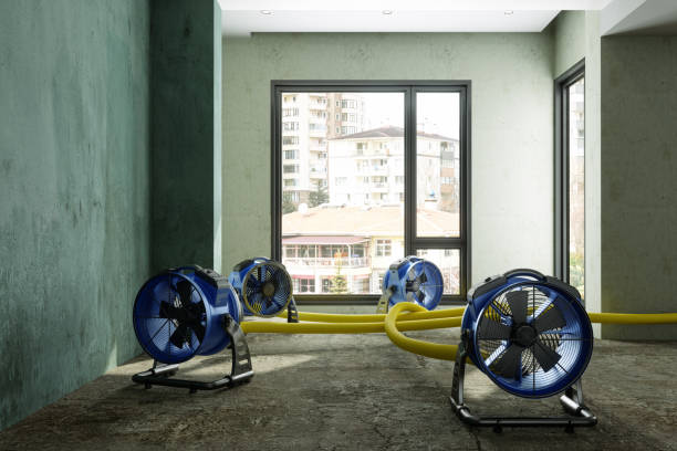 Best Professional water damage repair  in Washington, NC